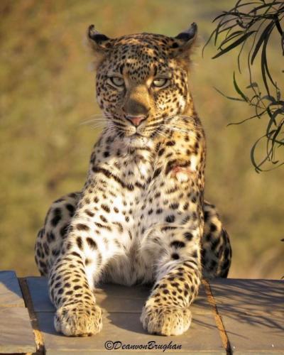 tumblr_2af05d461708d19eef88406109dd9a1f_689e6790_540