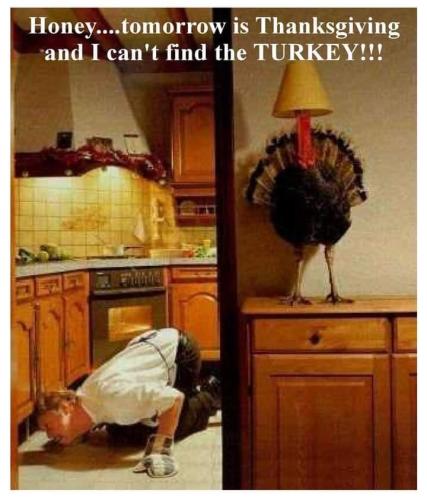 FB_IMG_1668448337200