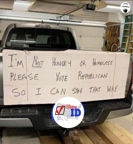 image_2022-11-02_111325503