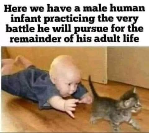 FB_IMG_1669750439686