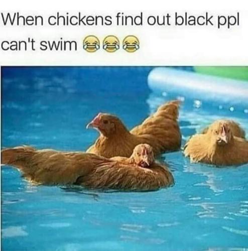 FB_IMG_1667571814754