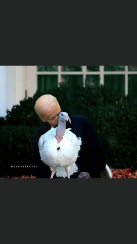 15:37:57 GMT-0500 (EST).image