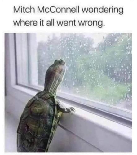 photo_2022-11-15_18-49-01