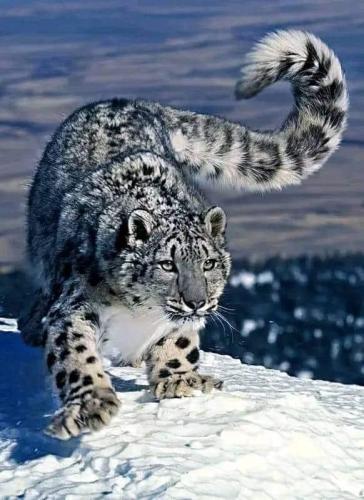 315160833_8595845673766631_2432160146402962364_n