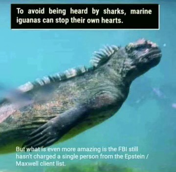 42971D2C-C1A8-41D4-8E49-0D10B19A3579