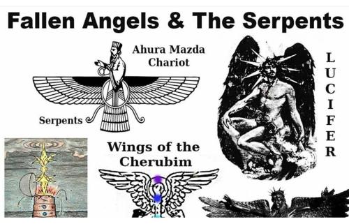 Screenshot_2022-11-26-08-28-12-79_1c337646f29875672b5a61192b9010f9