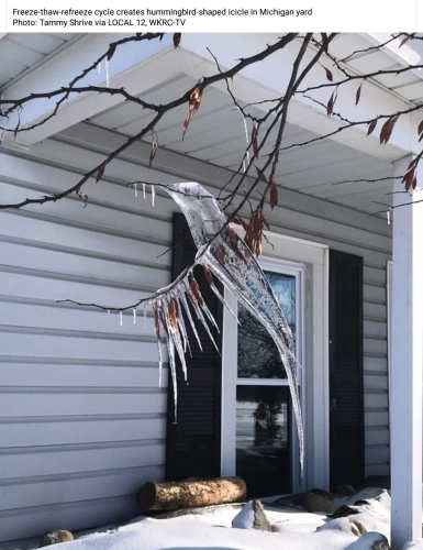 Screenshot_2022-11-26-21-02-25_kindlephoto-37596625