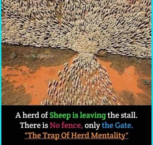 FB_IMG_1667395594337