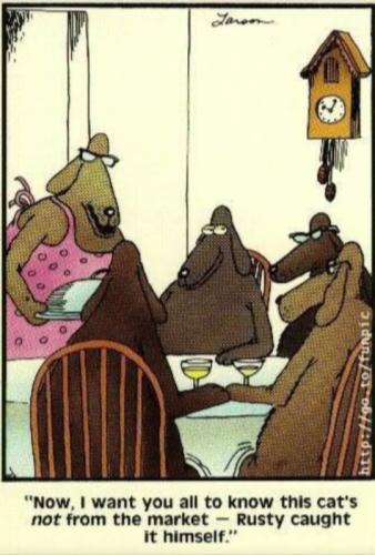 tumblr_dd199310b5ae87abd17c320fbf114ed1_578dc2f3_540