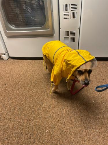 A701B78D-1774-4A3D-925B-13C3A62A8CB1