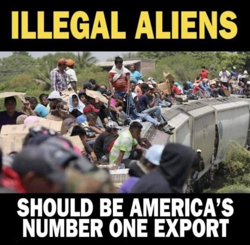 FB_IMG_1669725980589