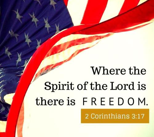 IMG_20221114_121250_860