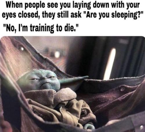 313943589_1284029712362102_5692138158133802599_n