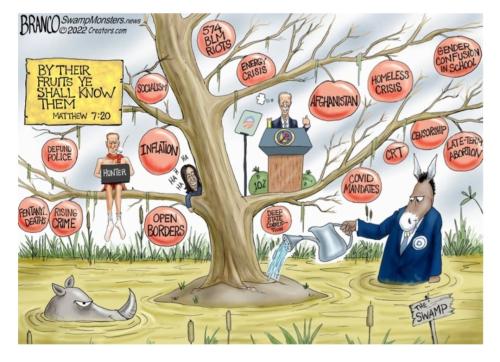 Screenshot_20221108-125003_Outlook