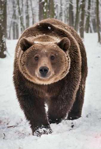 tumblr_pjjfq9rLif1rivr9jo1_1280