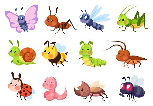 BUGS!