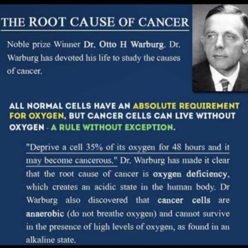 Screenshot_2022-05-22-15-05-54_kindlephoto-129884579