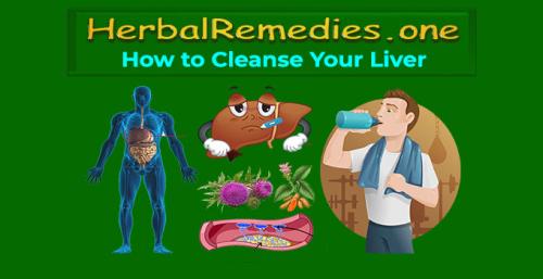 HerbalRemedies.one How to Cleanse Your Liver
