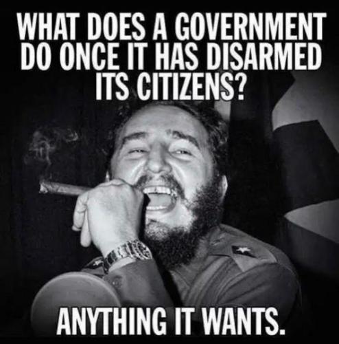 what does a government do when it has disarmed its citizens