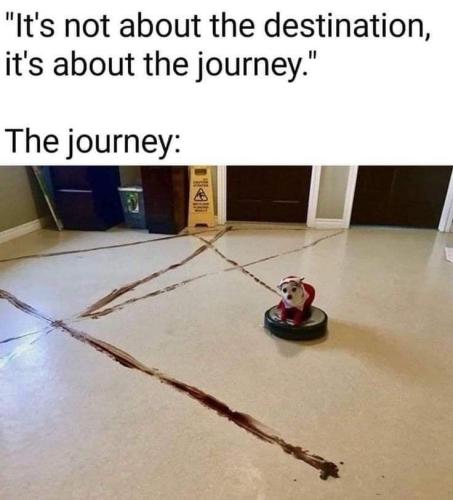 FB_IMG_1668618018898