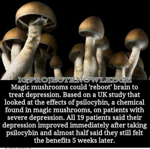 Screenshot_2022-11-26-08-57-51-76_1c337646f29875672b5a61192b9010f9