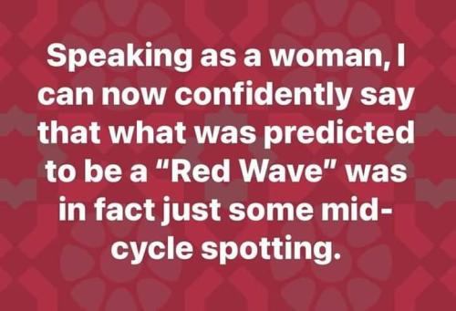 FB_IMG_1668087269155