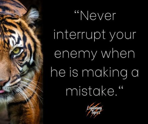 307312661_1726366371064037_2473656942704561046_n