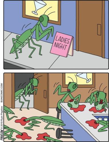 315747749_3405768639691936_5674349516452459554_n