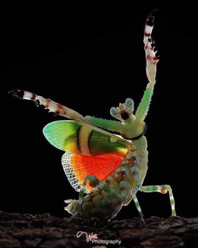 312592577_576970621094751_1932969699621161808_n