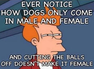 gender12