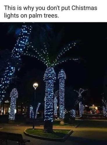 FB_IMG_1669701245624
