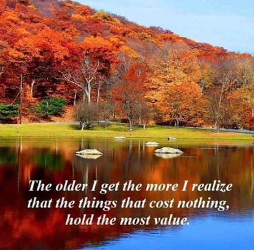 FB_IMG_1668430940182