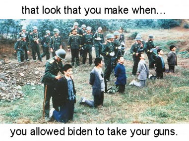 you allowed biden to take your guns