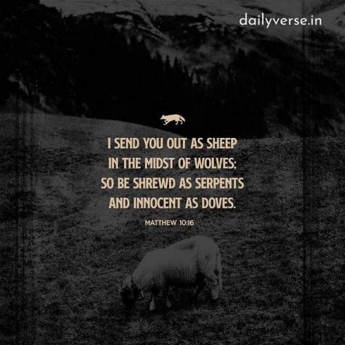 15:55:47 GMT-0500 (EST)