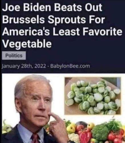 01bdde51-ab65-4daf-bd44-c874c7f8ce2d