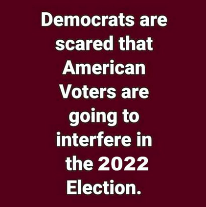Voters 1