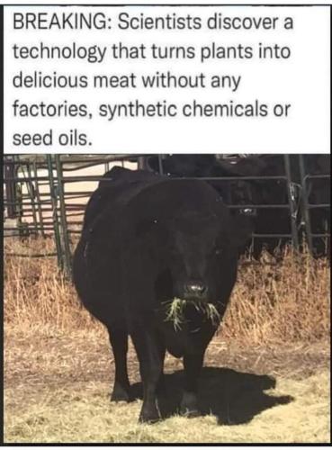 FB_IMG_1669835783152