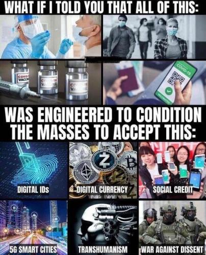 xephula_cb4c113d03826691a1fb4137ebaec948