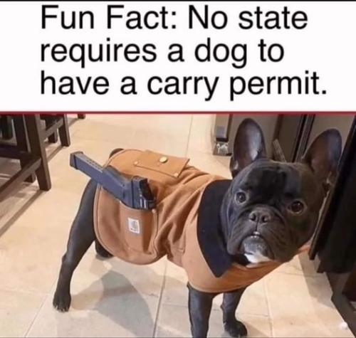 05:48:27 GMT-0500 (EST)