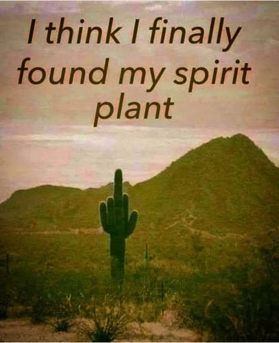 Screenshot_2022-11-07-17-36-47-00_1c337646f29875672b5a61192b9010f9