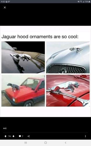 w3lkat3ng9vfj5bwpajmxahdmyiehfu8