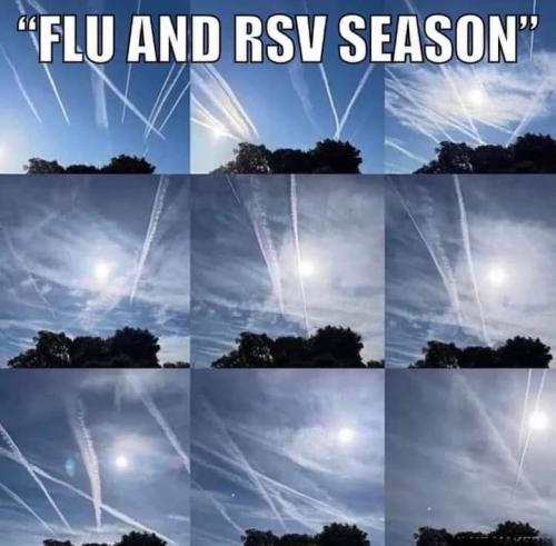 FB_IMG_1668978866794