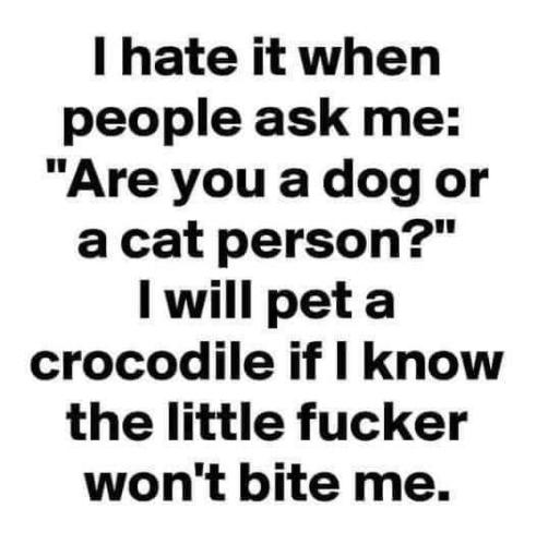 FB_IMG_1668008722235