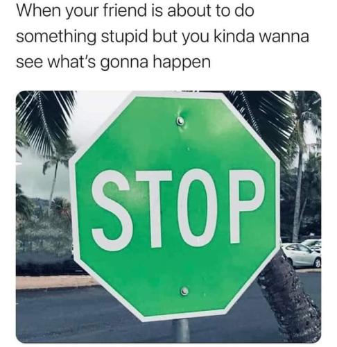 FB_IMG_1668405326384