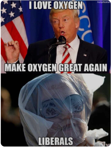 Screenshot_20221102-141027~2