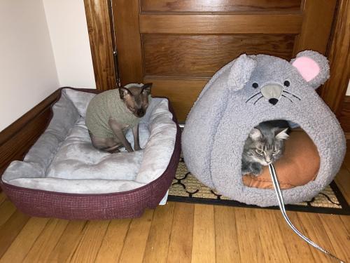 14:09:22 GMT-0400 (Eastern Daylight Time).image