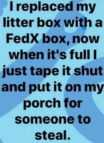 316945765_799276601170528_8026957296975675804_n