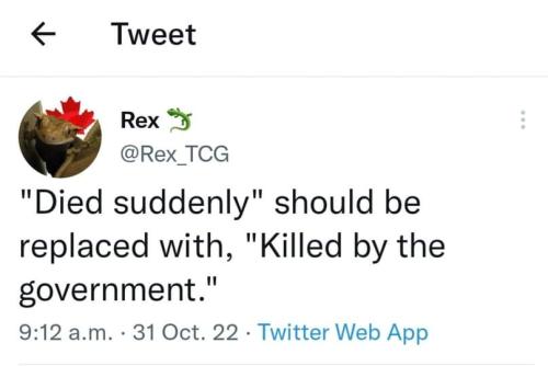 FB_IMG_1667757346412