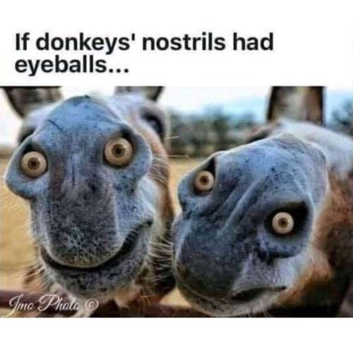 4892255c-14f2-4cd7-aa50-564e656e8850