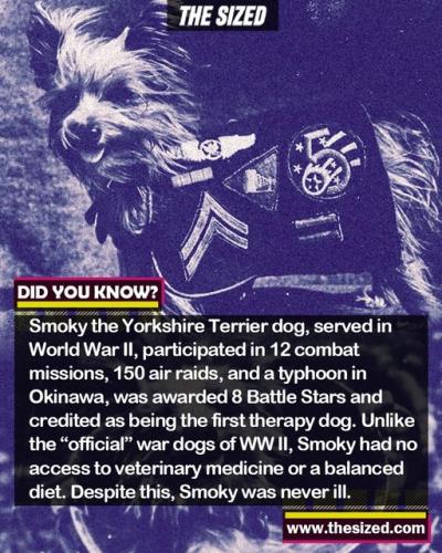 314491823_653493006217020_4595358628352695481_n